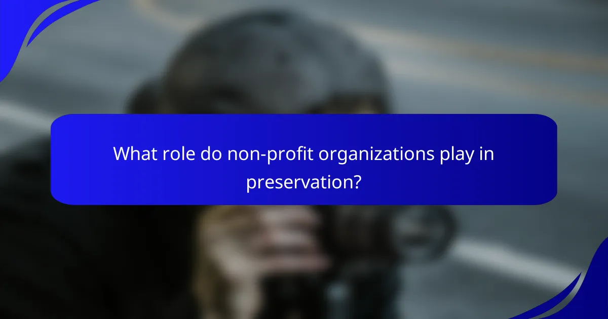 What role do non-profit organizations play in preservation?